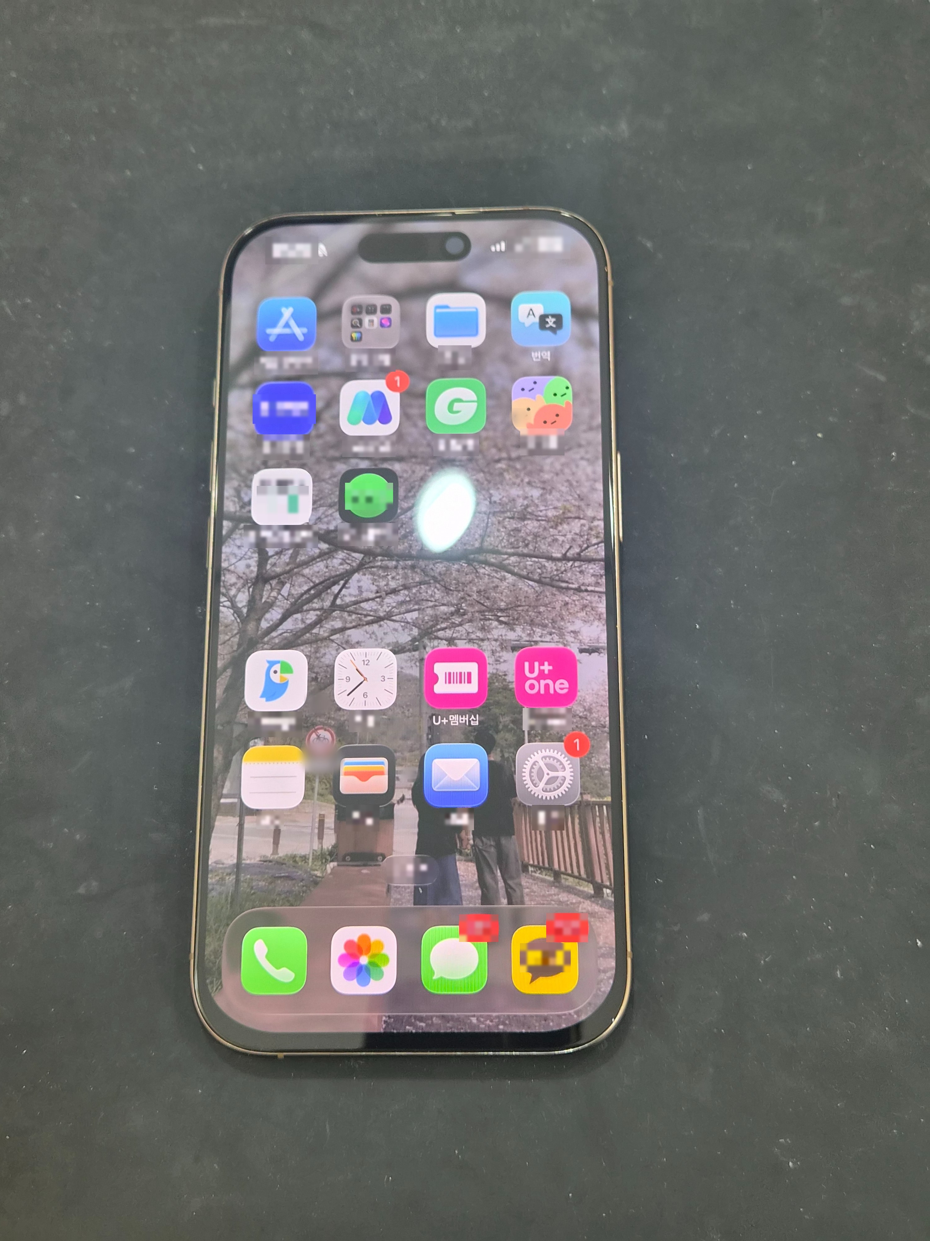 검은 줄이 생겼던 아이폰 16 프로 (iPhone 16 Pro) 액정, 신림점에서 선명함 되찾기