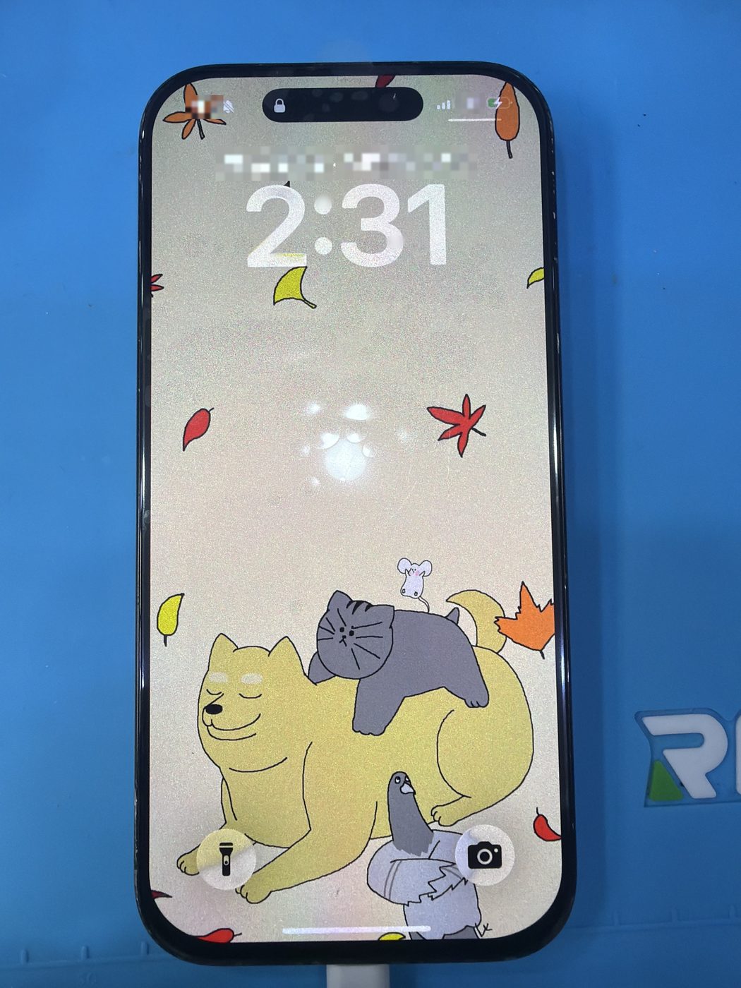아이폰 16 Pro 교체 후 작동 화면 정상