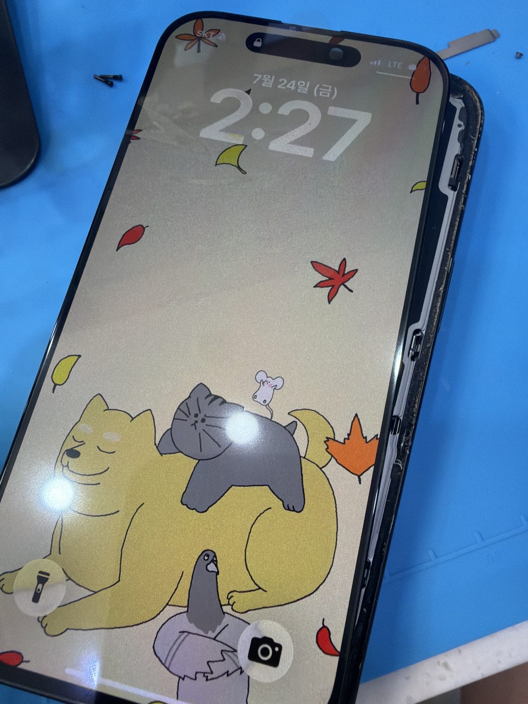 아이폰 16 Pro 수리 작업 중 — 다올리페어 직영점 진행