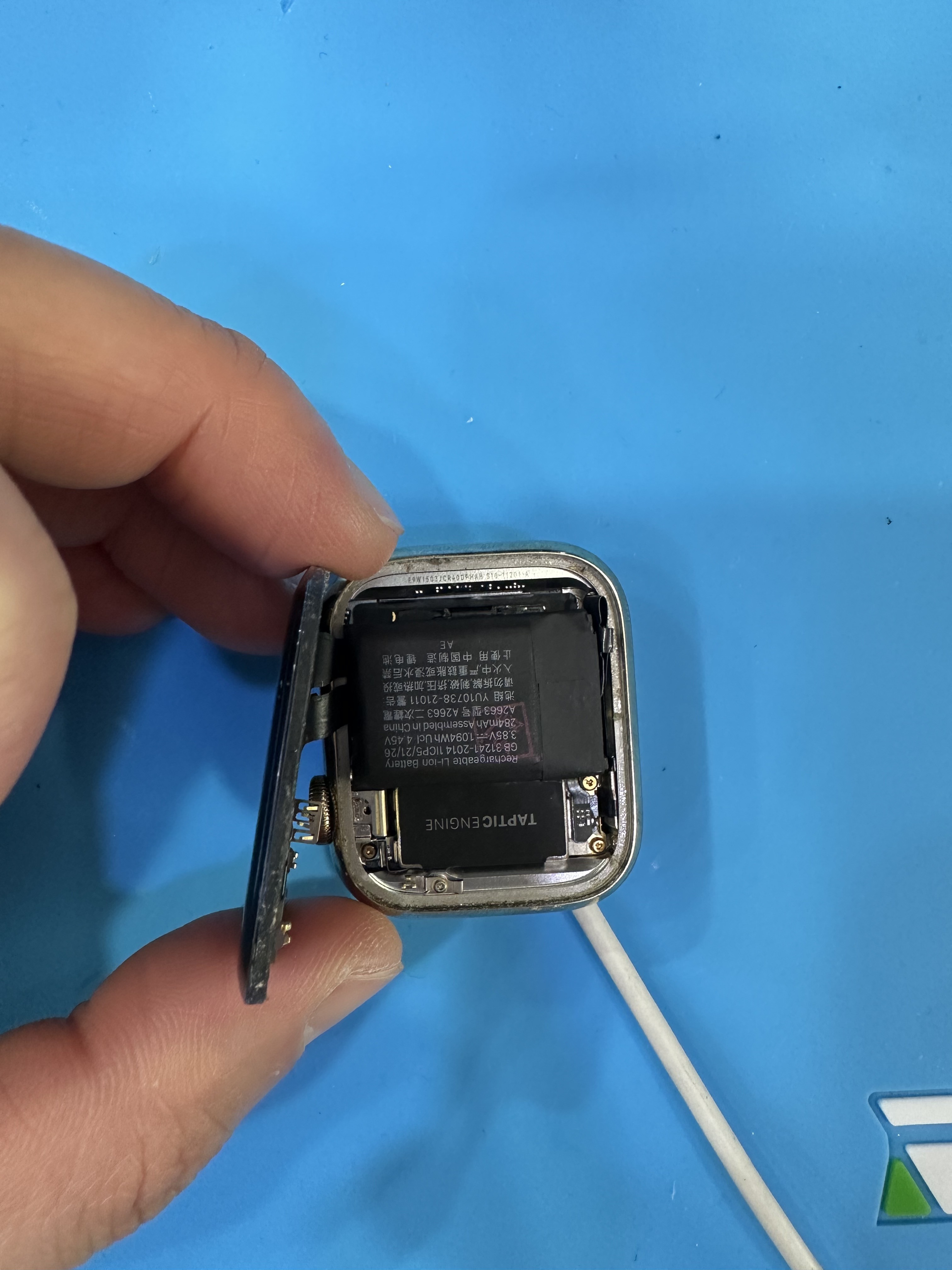 애플워치 7세대 41mm 이도현