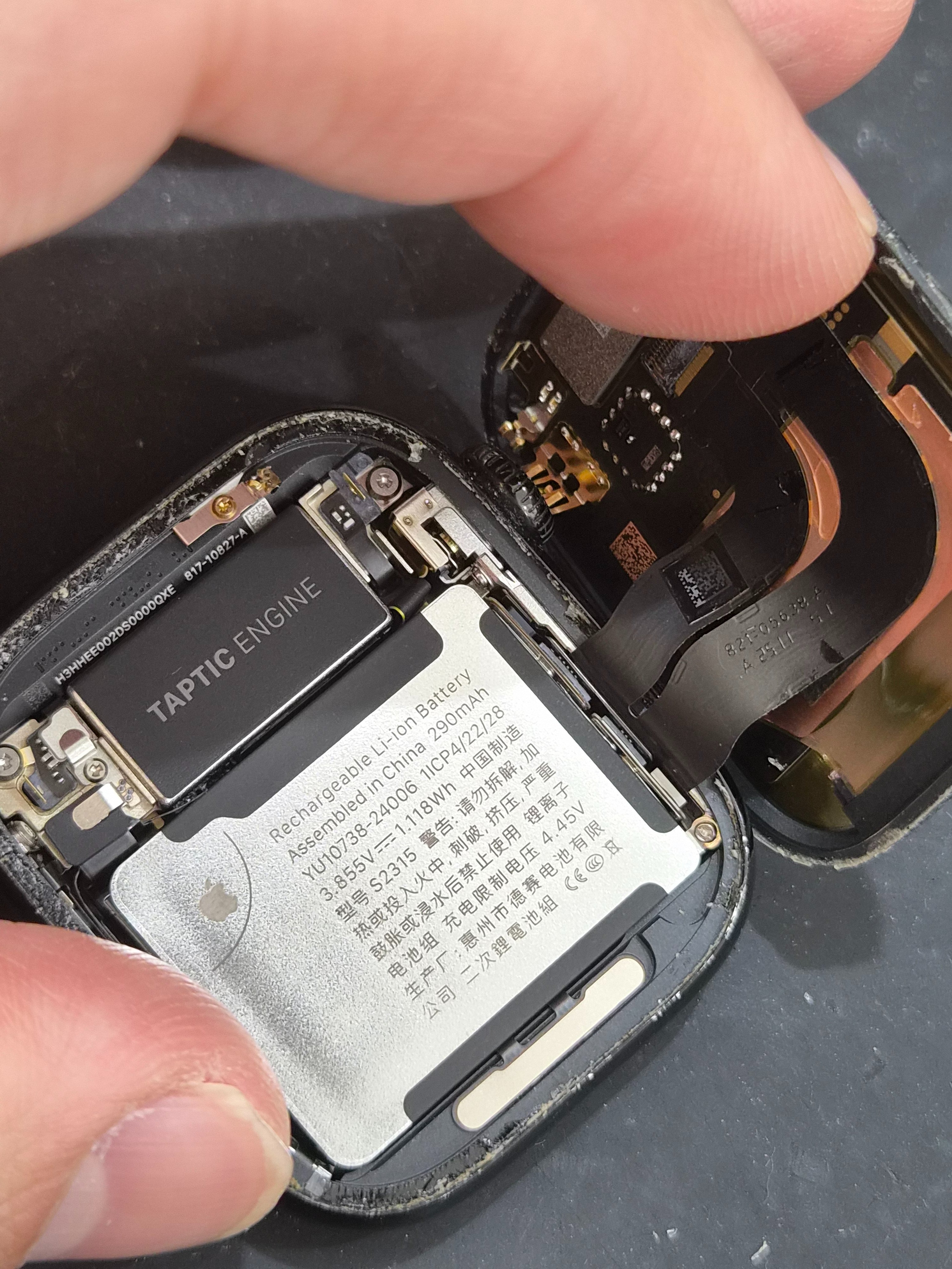 애플워치 Apple Watch Series 10 (42mm) 내부 분해 — 정밀 작업 단계