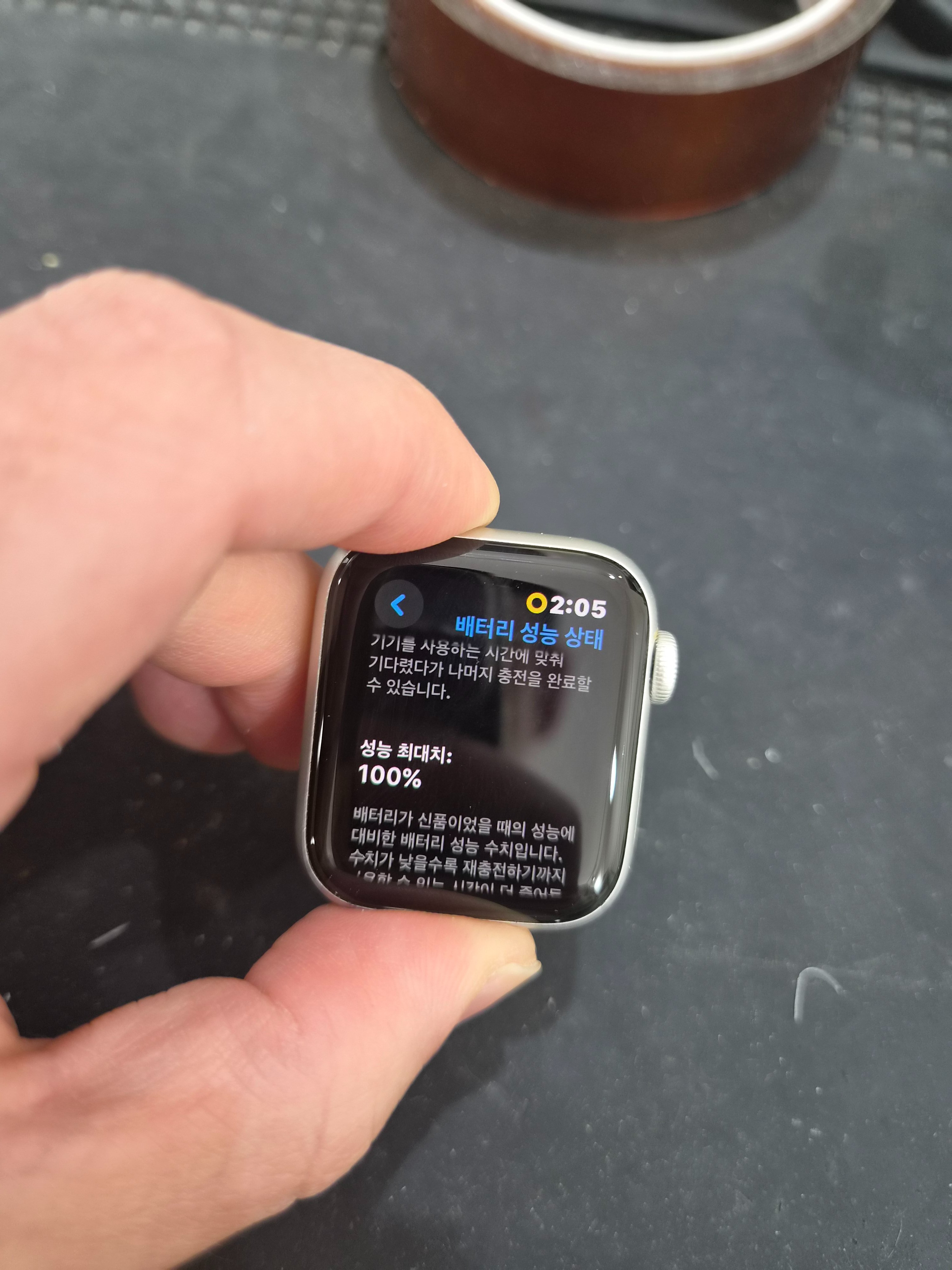애플워치 Apple Watch SE (1세대) 교체 후 배터리 성능치 100% 회복 화면