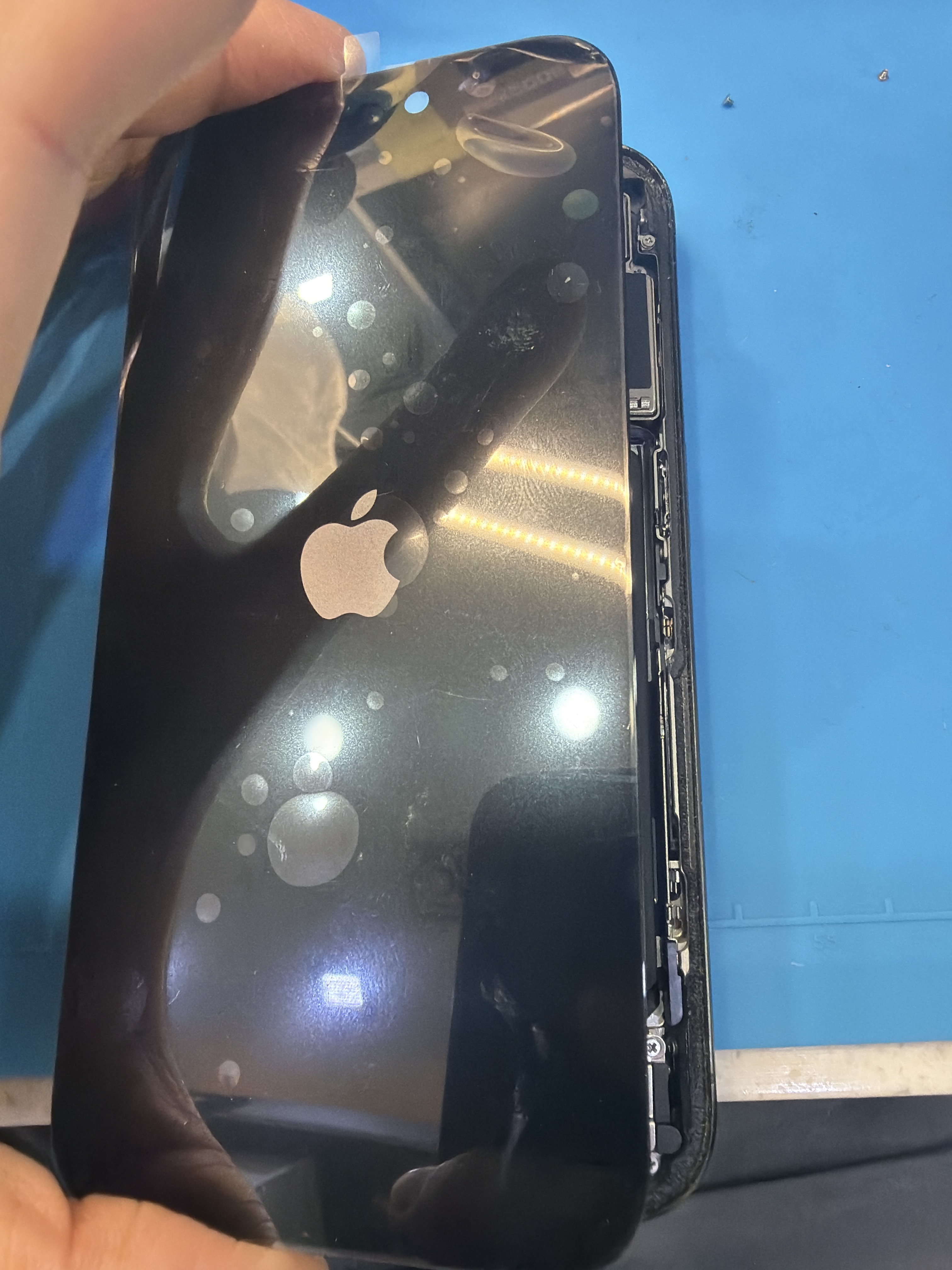 아이폰 15 Pro 수리 작업 중 — 다올리페어 직영점 진행