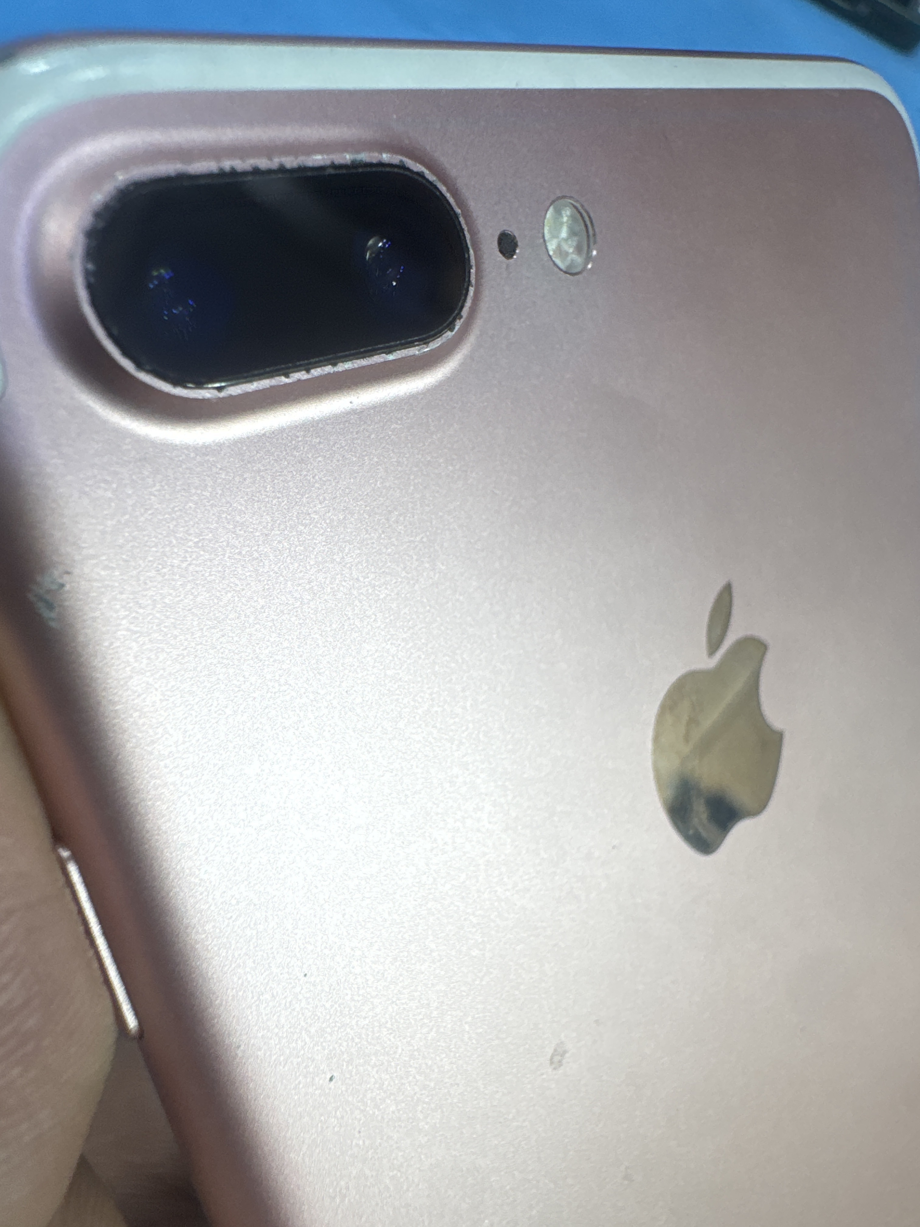 업무폰으로 쓰던 아이폰 13 (iPhone 13) 카메라 오류, 목동점에서 원인 파악하고 정상화
