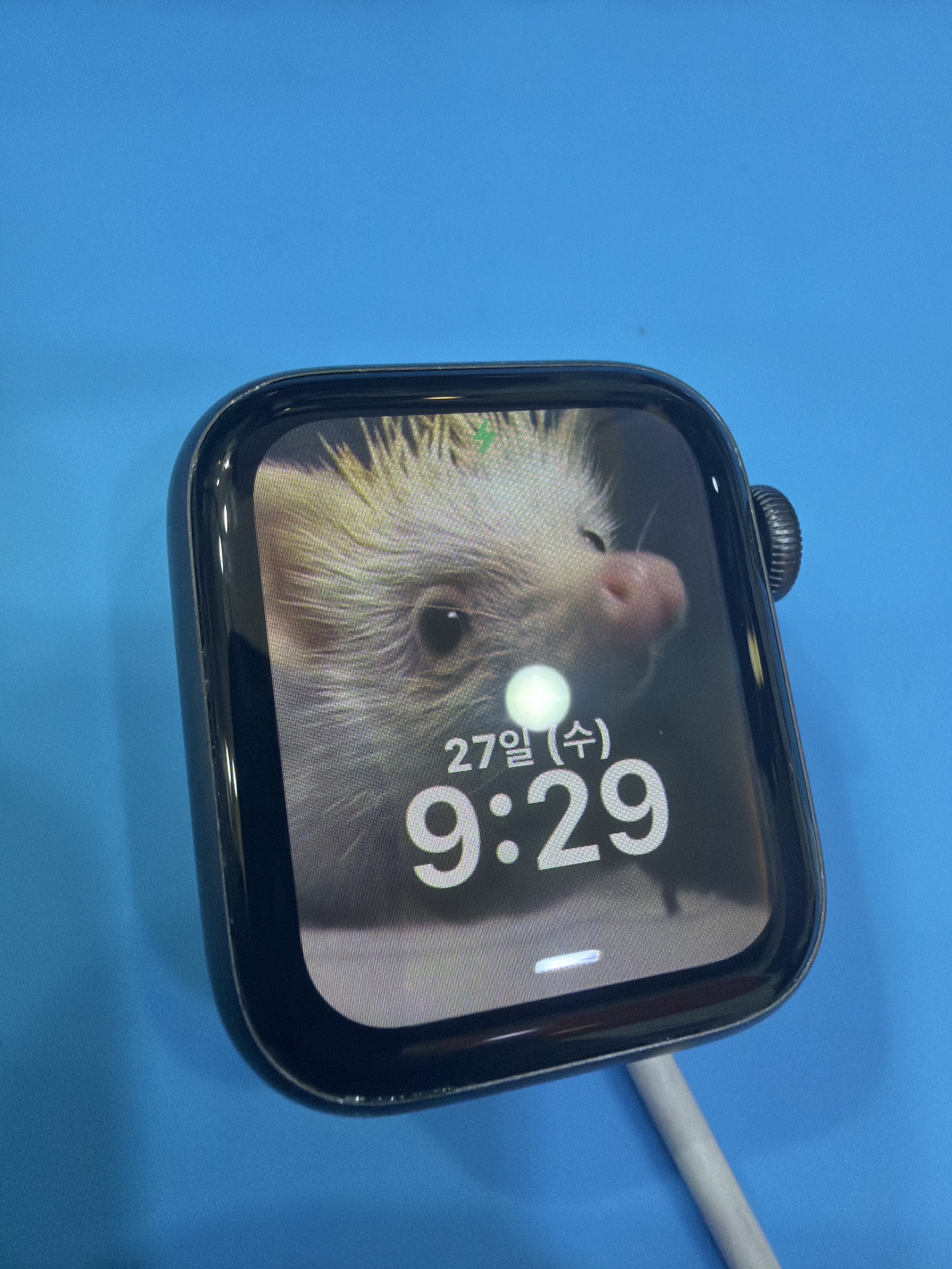 애플워치 SE (Apple Watch SE) 액정 깨졌을 때 교체 비용이 궁금할 땐 가산점에서 확인하기